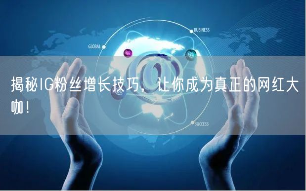 揭秘IG粉丝增长技巧,让你成为真正的网红大咖!