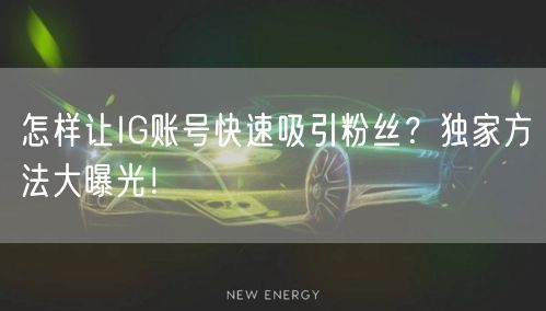 怎样让IG账号快速吸引粉丝?独家方法大曝光!