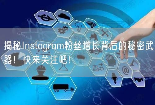 揭秘Instagram粉丝增长背后的秘密武器！快来关注吧！