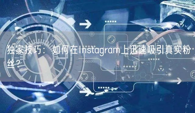 独家技巧：如何在Instagram上迅速吸引真实粉丝？