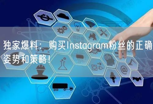 独家爆料：购买Instagram粉丝的正确姿势和策略！