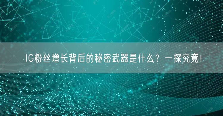 IG粉丝增长背后的秘密武器是什么?一探究竟!