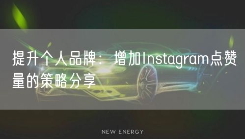 提升个人品牌:增加Instagram点赞量的策略分享