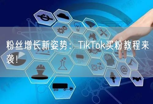 粉丝增长新姿势:TikTok买粉教程来袭!