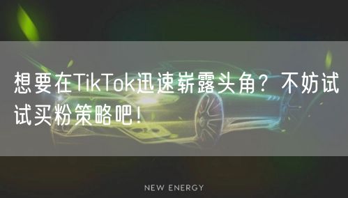 想要在TikTok迅速崭露头角?不妨试试买粉策略吧!