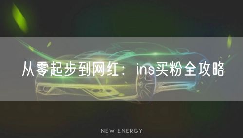 从零起步到网红：ins买粉全攻略
