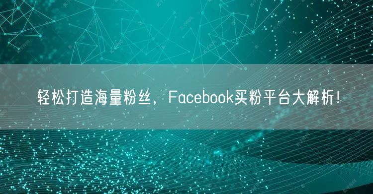 轻松打造海量粉丝,Facebook买粉平台大解析!
