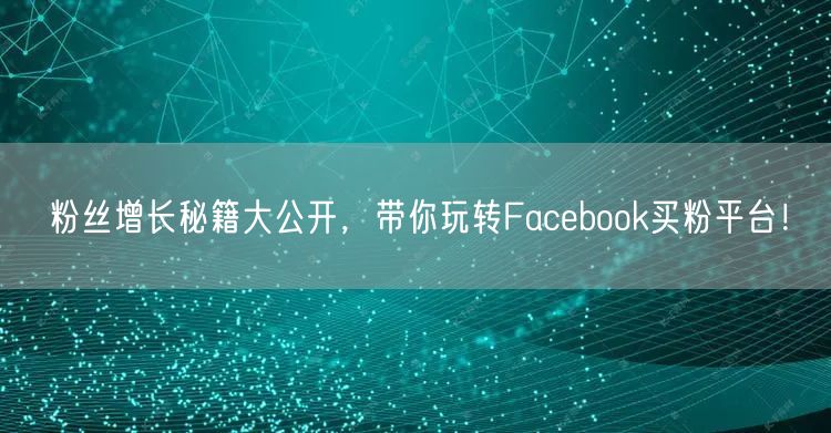 粉丝增长秘籍大公开,带你玩转Facebook买粉平台!