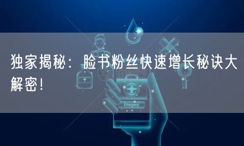 独家揭秘:脸书粉丝快速增长秘诀大解密!