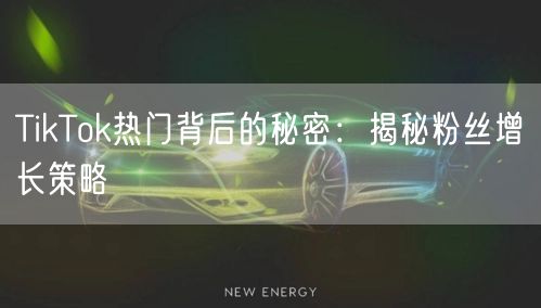 TikTok热门背后的秘密：揭秘粉丝增长策略