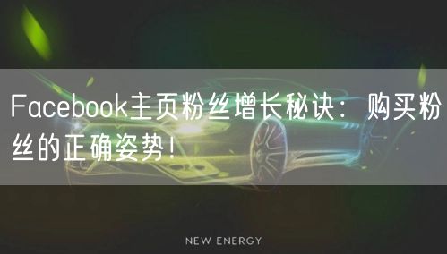 Facebook主页粉丝增长秘诀:购买粉丝的正确姿势!