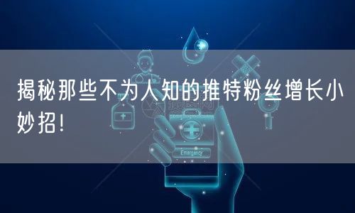 揭秘那些不为人知的推特粉丝增长小妙招!