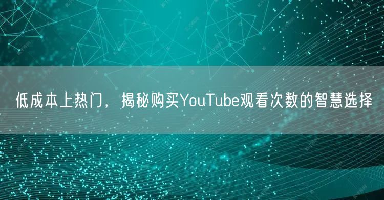 低成本上热门，揭秘购买YouTube观看次数的智慧选择