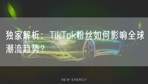 独家解析：TikTok粉丝如何影响全球潮流趋势？