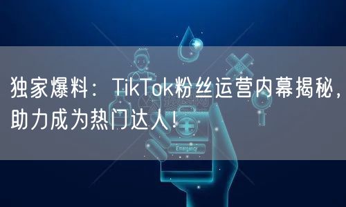 独家爆料:TikTok粉丝运营内幕揭秘,助力成为热门达人!