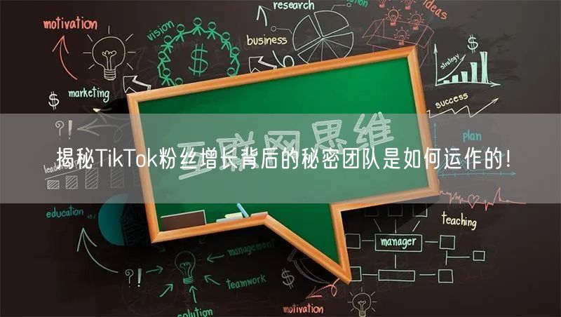 揭秘TikTok粉丝增长背后的秘密团队是如何运作的!