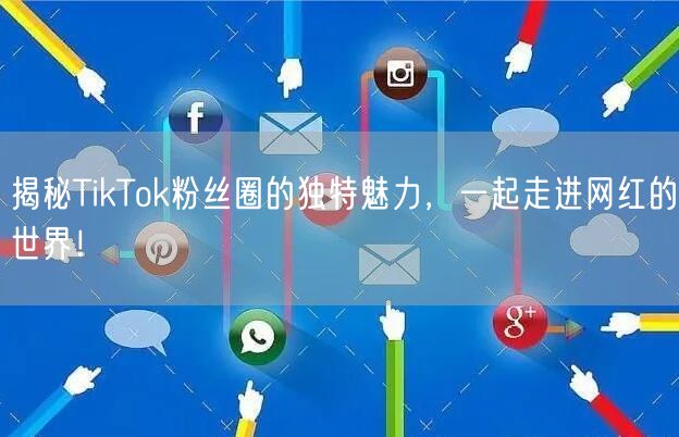 揭秘TikTok粉丝圈的独特魅力,一起走进网红的世界!