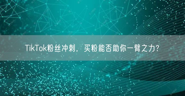 TikTok粉丝冲刺，买粉能否助你一臂之力？