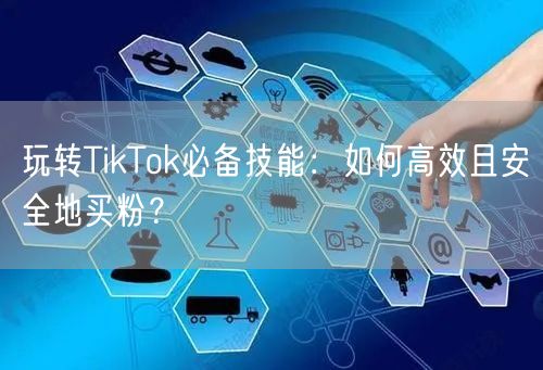玩转TikTok必备技能:如何高效且安全地买粉?