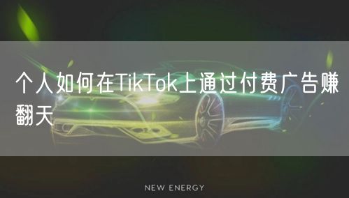 个人如何在TikTok上通过付费广告赚翻天