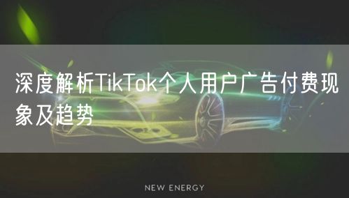 深度解析TikTok个人用户广告付费现象及趋势