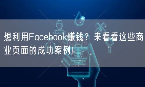 想利用Facebook赚钱？来看看这些商业页面的成功案例！