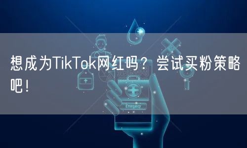 想成为TikTok网红吗？尝试买粉策略吧！