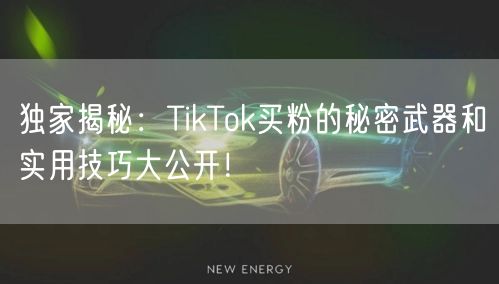 独家揭秘：TikTok买粉的秘密武器和实用技巧大公开！