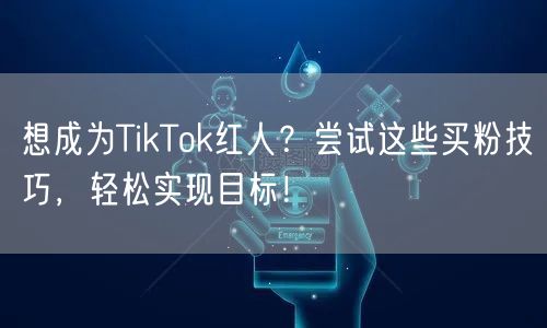 想成为TikTok红人？尝试这些买粉技巧，轻松实现目标！