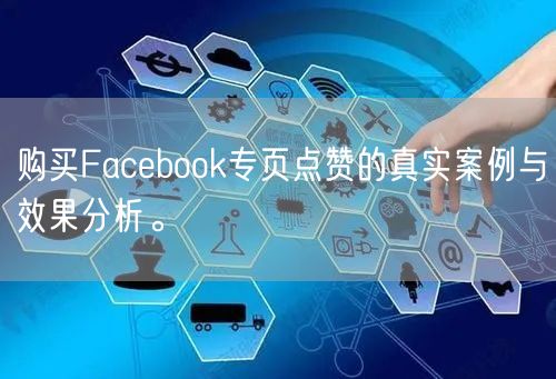 购买Facebook专页点赞的真实案例与效果分析。
