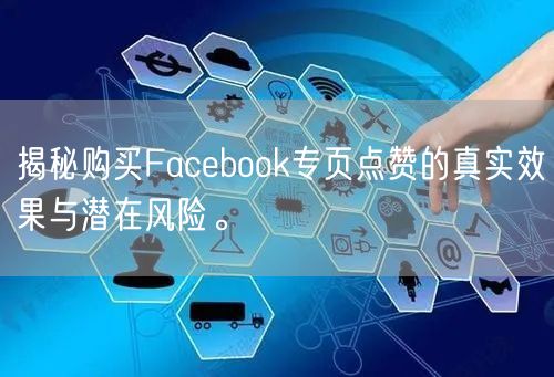 揭秘购买Facebook专页点赞的真实效果与潜在风险。