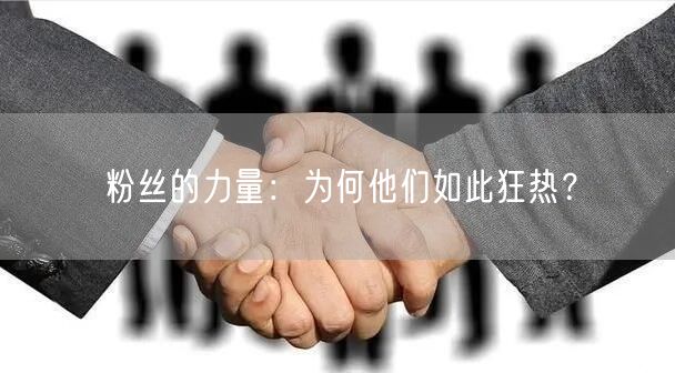 粉丝的力量：为何他们如此狂热？
