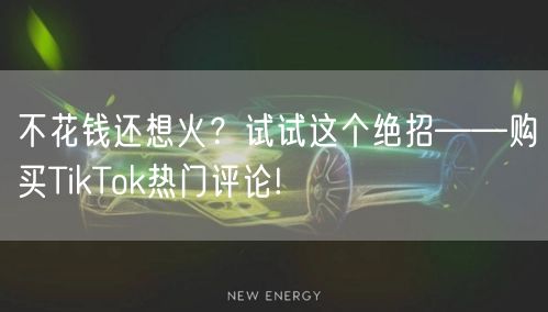 不花钱还想火？试试这个绝招——购买TikTok热门评论!