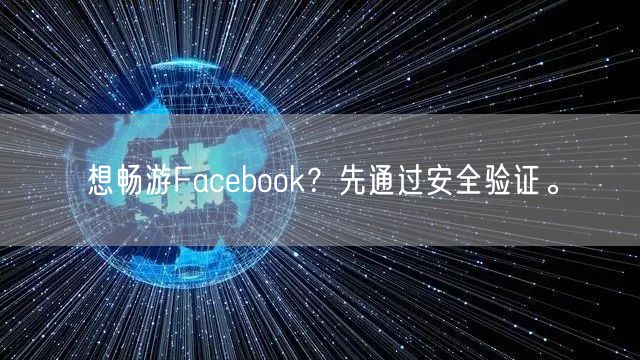 想畅游Facebook？先通过安全验证。