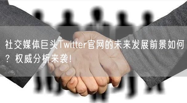 社交媒体巨头Twitter官网的未来发展前景如何？权威分析来袭！