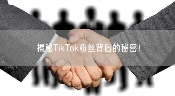 揭秘TikTok粉丝背后的秘密！