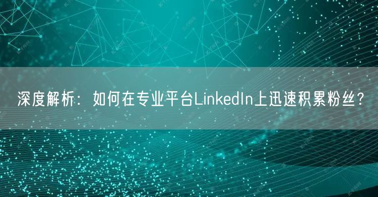 深度解析：如何在专业平台LinkedIn上迅速积累粉丝？
